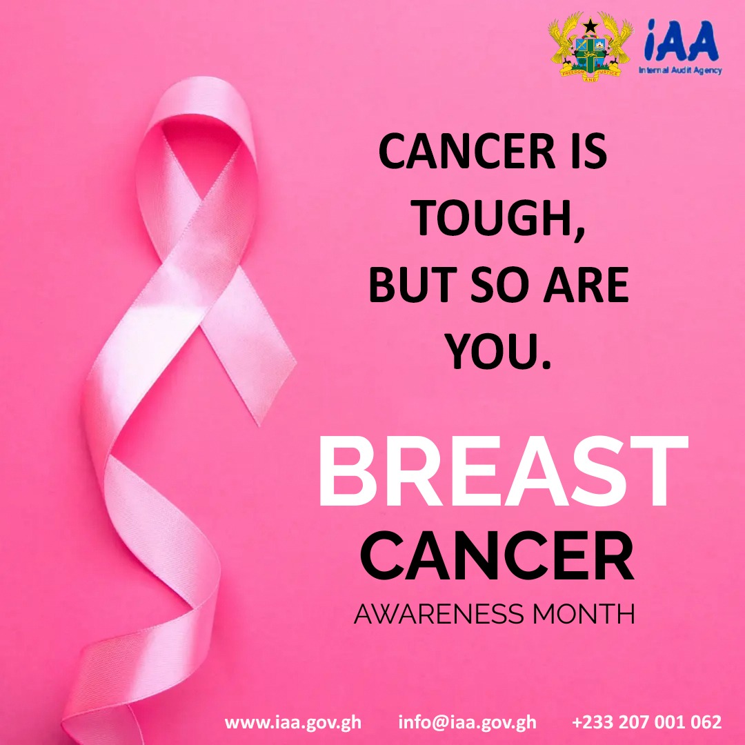 breast-cancer-awareness-internal-audit-agency